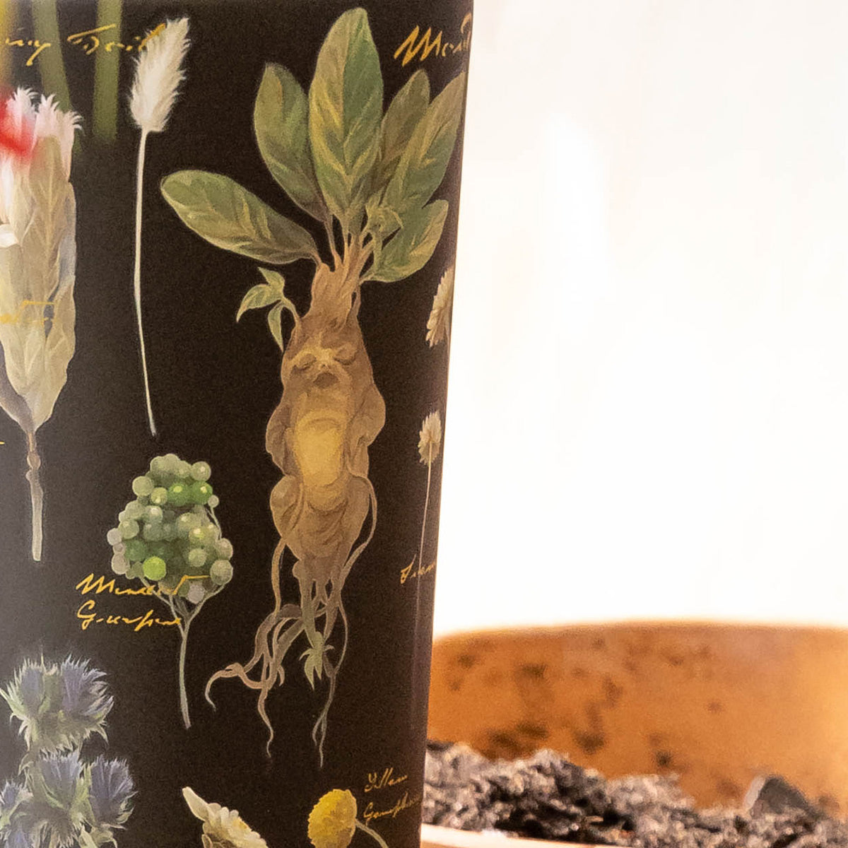 harry-potter-cold-cup-h6 Herbology-3.jpg