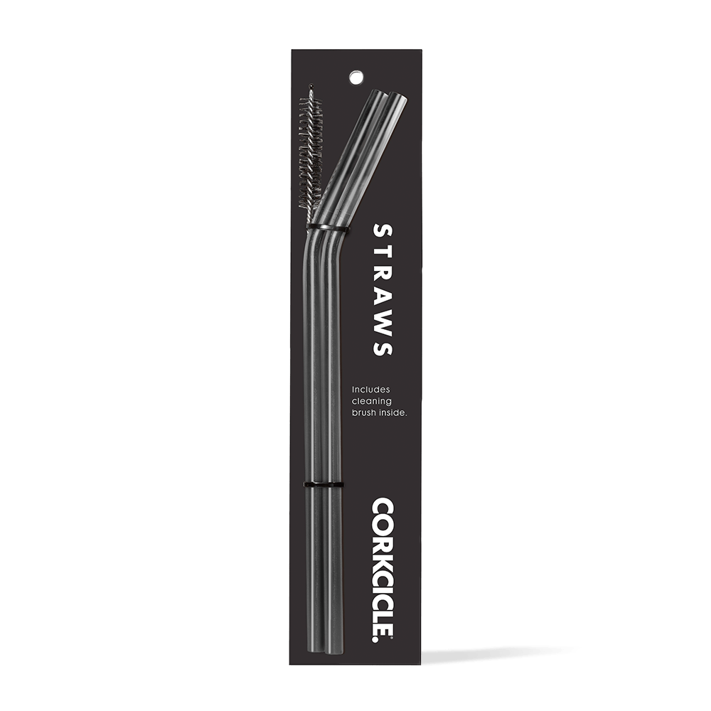 tumbler-straw-2-pack-g1 gunmetal.png